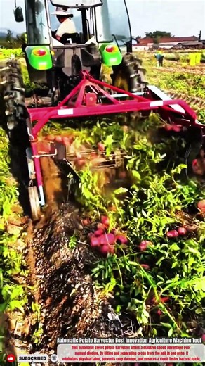 Automatic Potato Harvester Best Innovation Agriculture Machine Tool #innovation#shorts#videoshorts