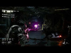 My Super Plasma Rifle Gunner Build on Aliens: Fireteam Elite to Destroy Bosses