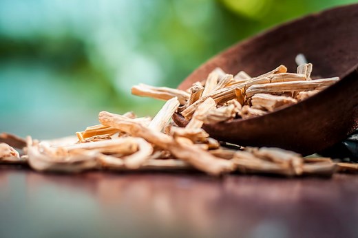 शतावरी के फायदे | शतावरी से नुकसान | Shatavari Powder Benefits in Hindi