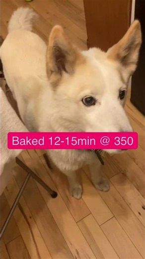 How to Make Easy Healthy Pupcakes! (AK Dog Cupcakes) For Your Next Corvallis Dog Birthday Party