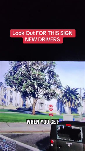 Watch out for this Road side is very important. #DrivingLicense #GTA5 #mrRoadReady #TikTokLearningCampaign #edutok