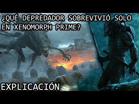 ¿Qué Depredador Sobrevivió solo en Xenomorph Prime? EXPLICACIÓN | El Depredador Hive Wars EXPLICADO