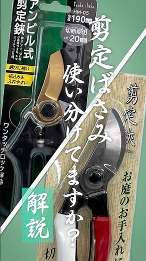 剪定ばさみ使い分けてますか？#農家 #農業 #園芸 #家庭菜園 #剪定 #剪定鋏