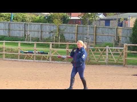 British Showjumping Training - Stepping up to Newcomers Part 1 Establishing a good canter