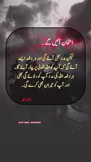Beautiful Lines #inshallah #goldenwords #islamicwhatsappstatus #muslimummah #islamicvideo