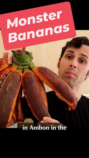 MONSTER BANANAS - I Tried Raw Fe'i Bananas In Indonesia | WeirdExplorer