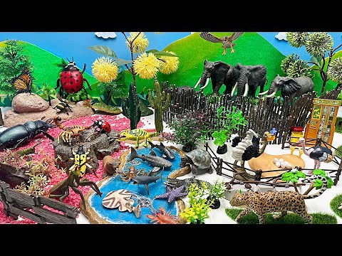 DIY Mini Zoo Diorama With Animals And Bugs | Leopard, Giraffes, Elephants, scorpion, Rabbits