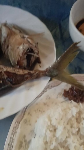 # @highlight | Maria Capili