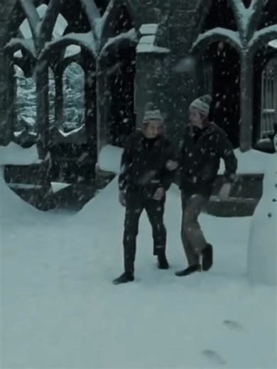 Invisible Harry Potter Prank by Weasley Twins