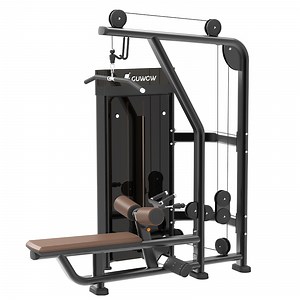 [Hot Item] Commercial Selectorized Pin Loaded Lat Pulldown Low Row Machine Gym Dual Function