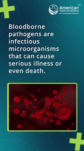 Protecting yourself from bloodborne pathogens is critical to your health and safety. Sign up today👉https://cpraedcourse.com/register/now Be prepared for emergencies by enrolling in American HealthCare Academy’s nationally accredited Bloodborne Pathogens Course. . . . . . #healthcare #health #hospital #doctor #nurses #medical #medicalassistant #medicalstudent #work #nursing #nursesareawesome #nurse #nursingstudent #nursinglife #nursingdegree #nurselife #medic #medicine | American HealthCare Acad