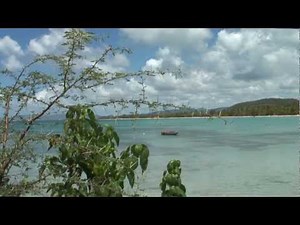 Martinique : Les plages des Salines