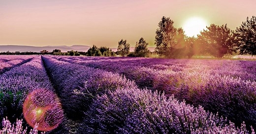 Meteo Drôme - France (Auvergne-Rhône-Alpes) : Prévisions Meteo GRATUITE à 15 jours - La Chaîne Météo