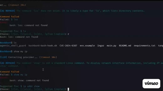 BashBard Demo