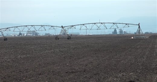 Central Oregon farmers brace for irrigation cuts; snowpack recovery unlikely