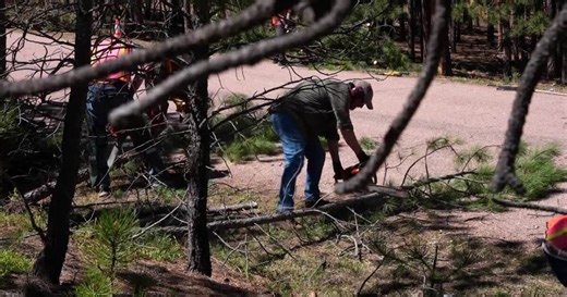 Monument neighbors team-up in wildfire mitigation efforts