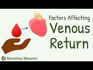 Factors Affecting Venous Return