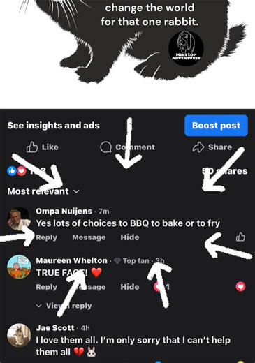 Are you kidding me?? People like this need to just block themselves!! I am sick of dealing with these people daily! 😡🤬 | Mini Lop Adventures