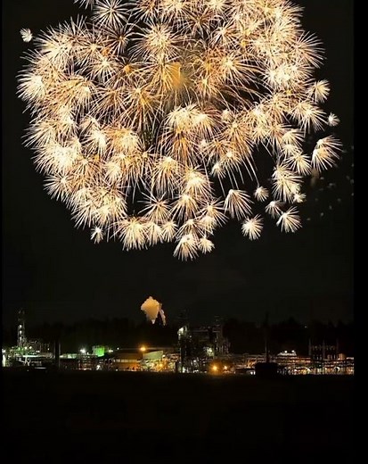 The largest fireworks in japan🎇🎆 #fireworks