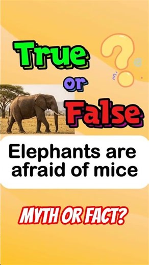 What Elephants🐘 Are Actually Afraid Of #quiz #wildlife #shorts
