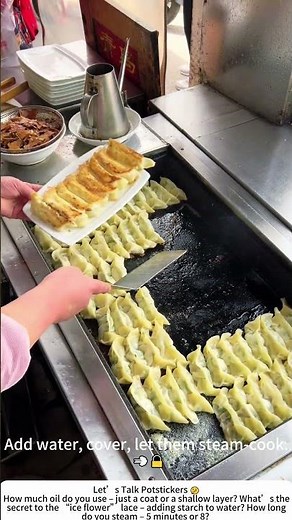 Making Pan-Fried Dumplings – Crispy Lace Bottom 🥟🍳