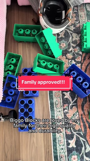 Biggo Blocks: Fun and Safe Building Toys for Kids