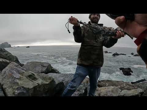 LINGCOD HAD ME EMONTIONAL