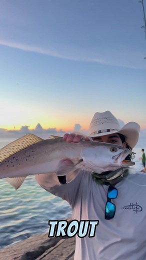 How to Catch Speckled Trout at Night with Drone Fishing