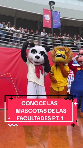 Mascotas de Facultades UPC: ¡Descúbrelas!