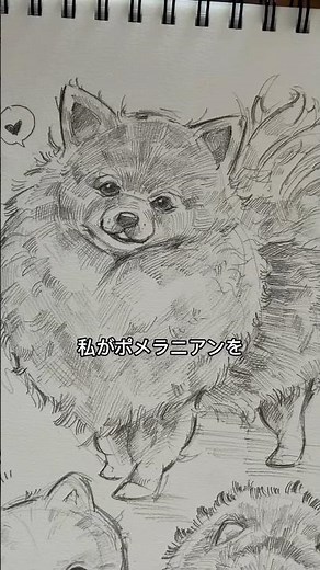 ポメラニアンを描けるようになった描き方🐶☁️ #イラスト #かきかた #おすすめ