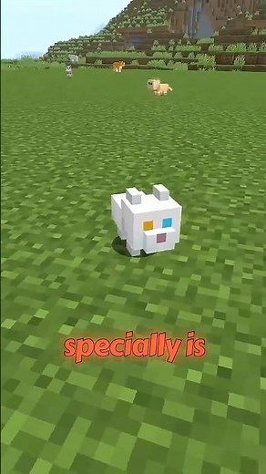 These Minecraft Baby Cats Are TOO CUTE 😭🐱 #shorts