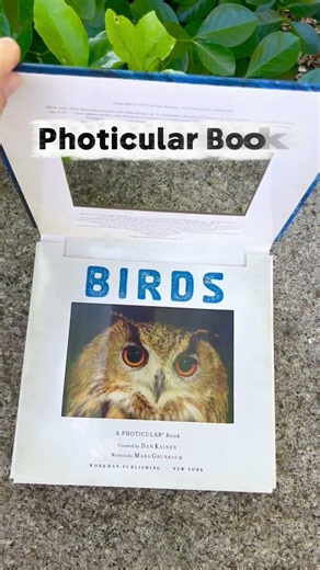 How Does a Photicular Book Work? 📖