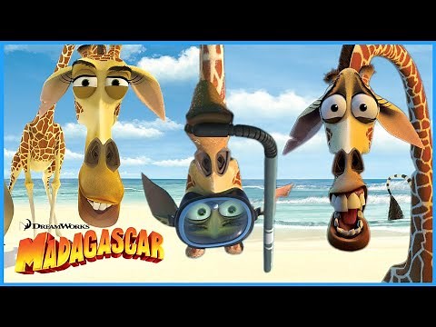 Melman’s Most Melman Moments! 😅🦒 | DreamWorks Madagascar