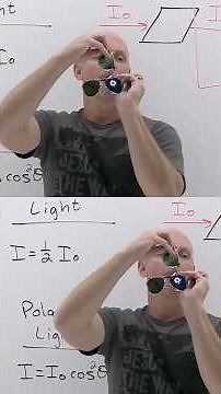 How Polarizing Sun Glasses Work | Demo #physics