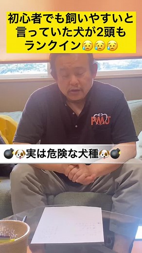 甘く見ているとやられちゃう犬種第5戦