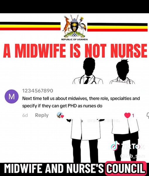 Exploring the Role of Midwifery Students in Healthcare