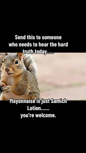 Creative Sandwich Concepts for a Fun Tuesday