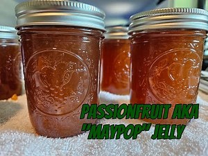The Best Maypop Passionfruit Homemade Jelly DIY