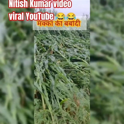 #harekfriendkaminahotahai Nitish Kumar video 📸 100th monkey social change through 2026