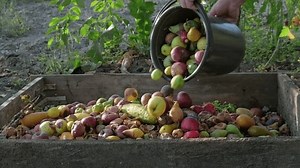 Organic Waste Falling Bucket Into Compost Stock Footage Video (100% Royalty-free) 1111166985 | Shutterstock