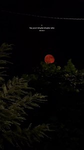 900K views · 32K reactions | Day (94/100) old songs ❣️奈 . . . Follow...