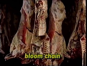 Beef Packing Plant Tour: Fabrication