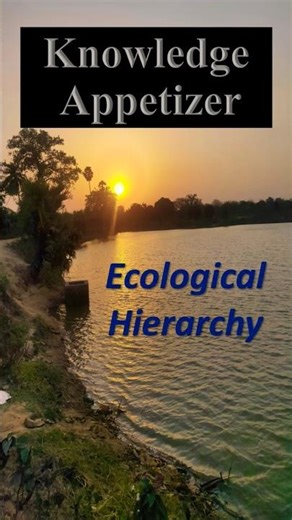 Ecological Hierarchy 🪜