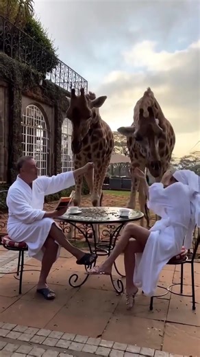 Good Morning 🦒 | Snoop Dogg