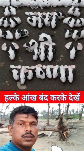 autClose Your Eyes 40% Radhe Shyam #god #jaishreeram #guess #closeyoureyes #shorts