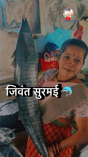 जिवंत सुरमई 🐬￼ ￼￼