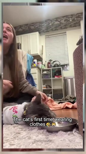 Cats wearing clothes unconfortable #CapCut #viral #cat #funnyvideos #foryou