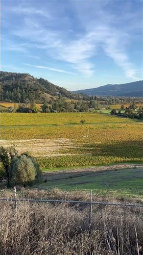 Hiking in Livermore CA|#shortfeed #shortsfeed #viralshort #shortvideo #california #ytshorts#trending