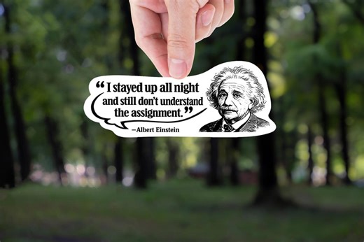Einstein Homework Meme Sticker Funny Student Humor Decal School Procrastination Meme Laptop Water Bottle Vinyl Sticker Funny Giftgift - Etsy