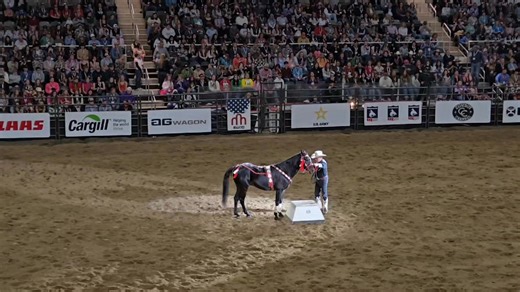During the rodeo we got to see Mr. Bojangles, a famous trick horse. Mr. Bojangles was a rescued from Hurricane Katrina. He may be small but his personality is hurge! | Owensville FFA - Missouri